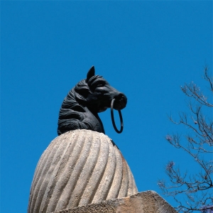 國王的饋贈：皇家安達盧西亞馬術(shù)學校