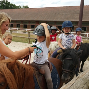 從學以致用到有“技”可施——法、德兩國馬術教育體系給我們的啟示 ...