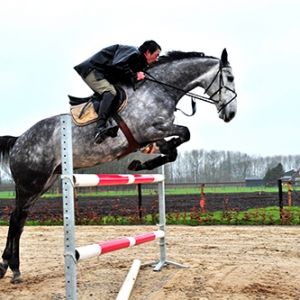 那些頂級(jí)障礙馬是如何煉成的？