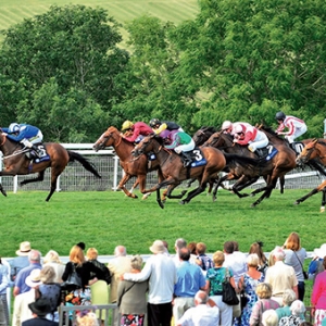 世界五大馬都——走進(jìn)英、愛、法、美、澳五國的純血馬中心 ...