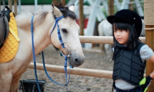 騎馬吧！爸爸