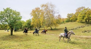 躍馬放歌，大河悠悠