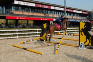 你的馬會受到環(huán)境的影響嗎？