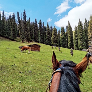 翻越黑達(dá)坂，探尋遠(yuǎn)山的秘密