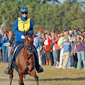 耐力賽中，如何挑選與你并肩的“伙伴”？