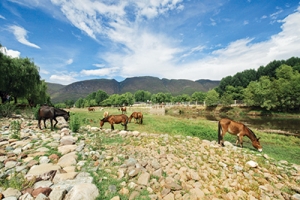 古道盤桓，馬幫鈴響