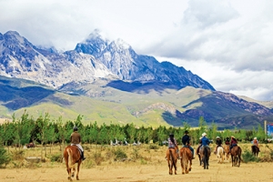 都中騏驥，見驪傾心