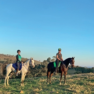 世有伯樂，然后有千里馬